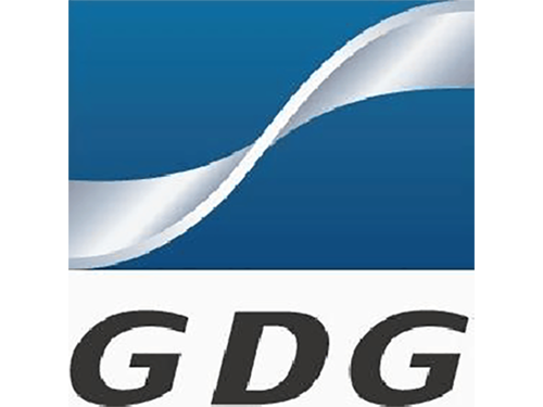 广州发展新能源股份有...